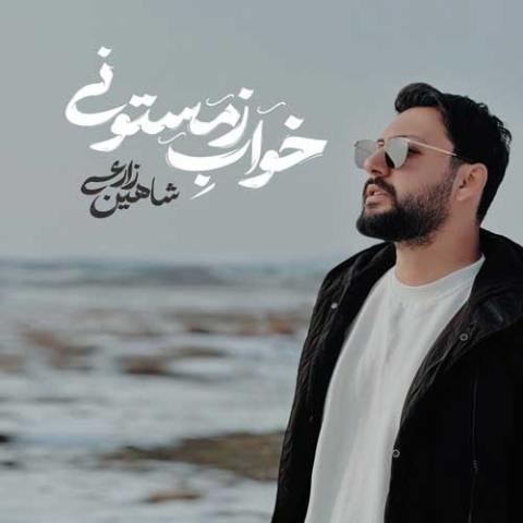 دانلود آهنگ شاهین زارعی به نام خواب زمستونی
